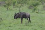 safrica_dec_13_image65.jpg